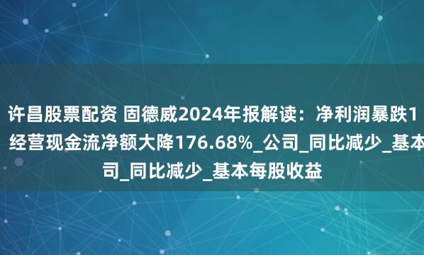 许昌股票配资 固德威2024年报解读：净利润暴跌107.25%，经营现金流净额大降176.68%_公司_同比减少_基本每股收益