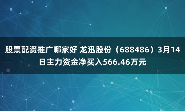 股票配资推广哪家好 龙迅股份（688486）3月14日主力资金净买入566.46万元