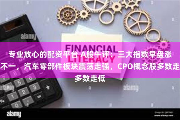 专业放心的配资平台 A股午评：三大指数早盘涨跌不一，汽车零部件板块震荡走强，CPO概念股多数走低