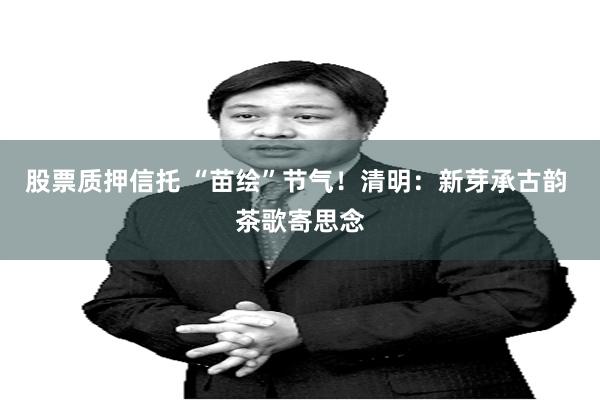 股票质押信托 “苗绘”节气！清明：新芽承古韵 茶歌寄思念