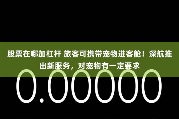股票在哪加杠杆 旅客可携带宠物进客舱！深航推出新服务，对宠物有一定要求