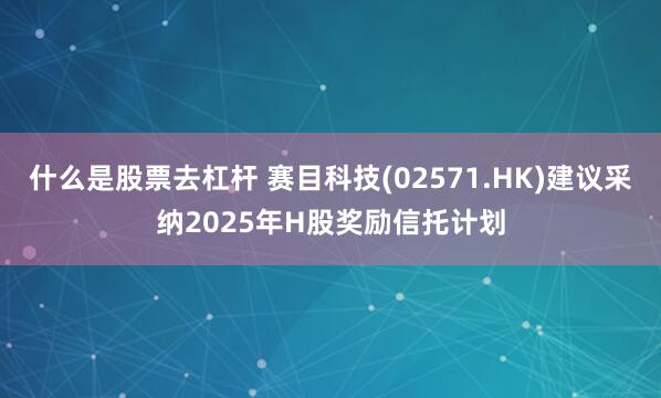 什么是股票去杠杆 赛目科技(02571.HK)建议采纳2025年H股奖励信托计划