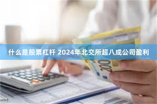 什么是股票杠杆 2024年北交所超八成公司盈利