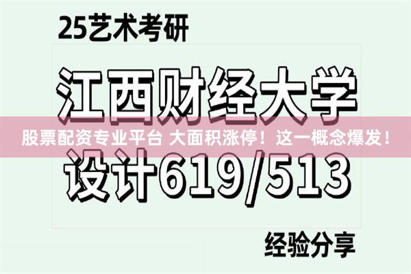 股票配资专业平台 大面积涨停！这一概念爆发！