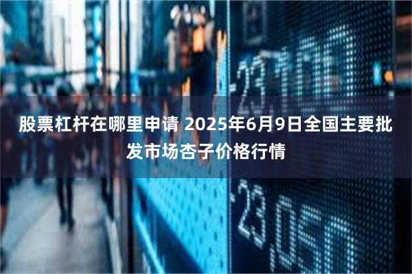 股票杠杆在哪里申请 2025年6月9日全国主要批发市场杏子价格行情